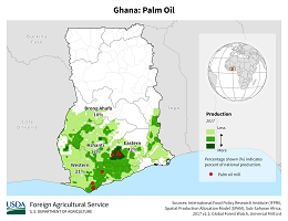 images\GH\cropprod\Ghana_Oil_Palm_preview.png